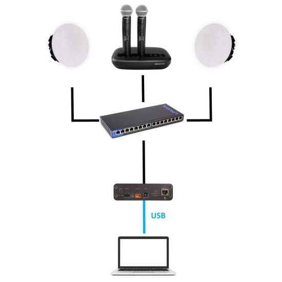 Kit audio conférence Shure avec micro main sans fil