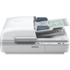 Scanner rapide vue 1