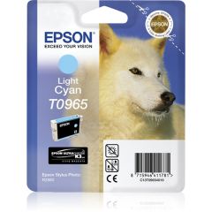 Epson Cyan Loup vue 1