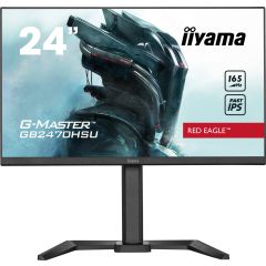 Iiyama LED 24" vue 1