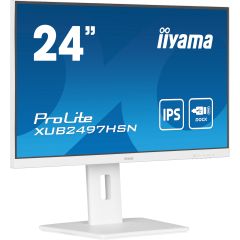 Écran iiyama 24" vue 1